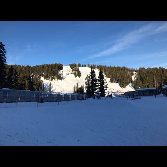 Meet your Posher, Lilly - Picture 1 of 1